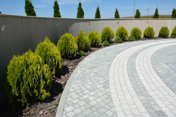Best Affordable Driveway Paving  in Nambe, NM